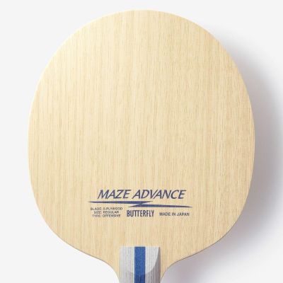 Maze Advance